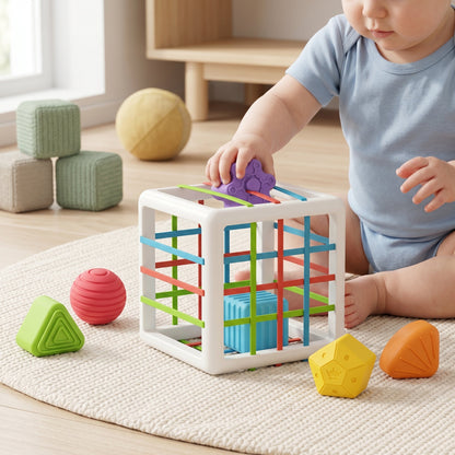 6-Piece Multi Sensory Shape Toy Set – Educational Baby Toy