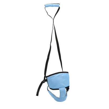 Toddler Walking Safety Harness with Leash